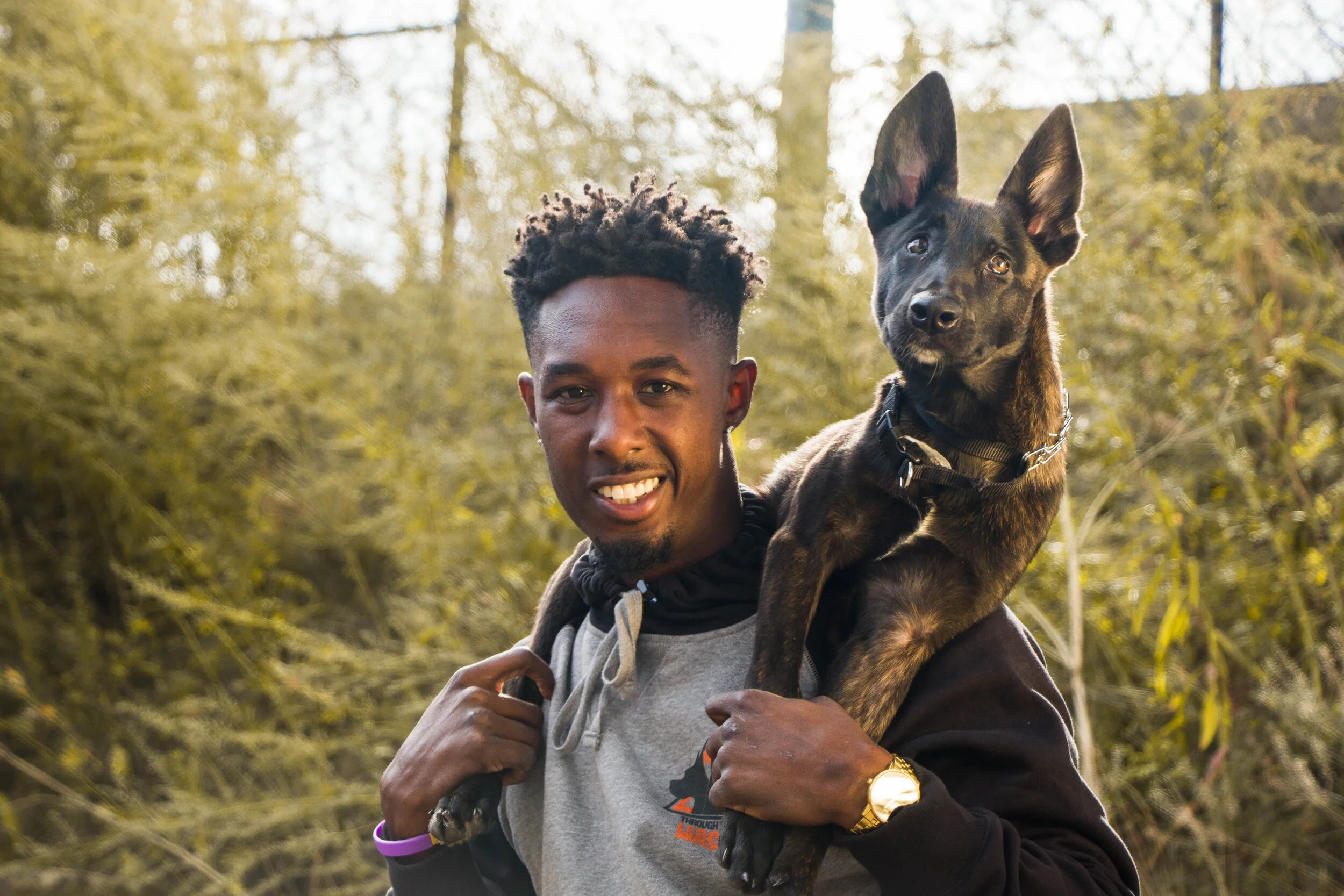 best puppy training guide