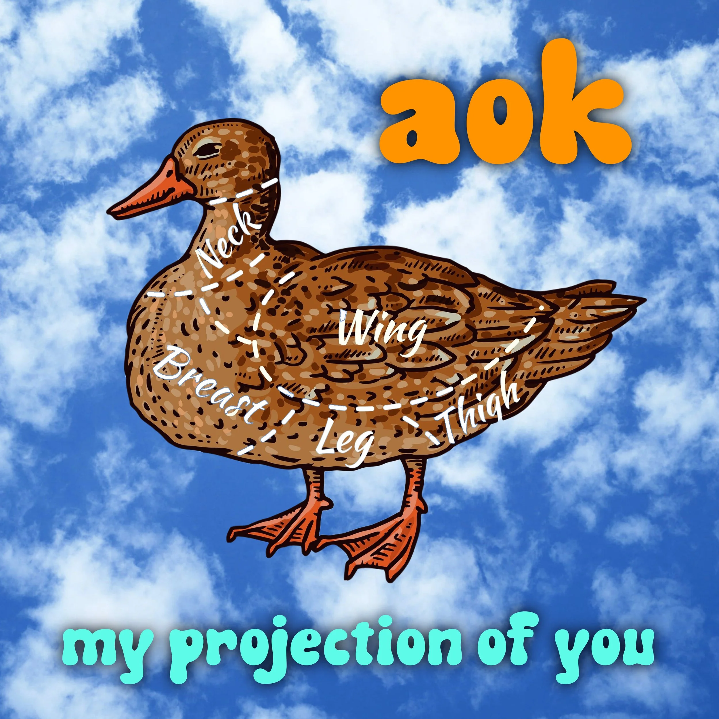 my projection of you cvr.jpeg