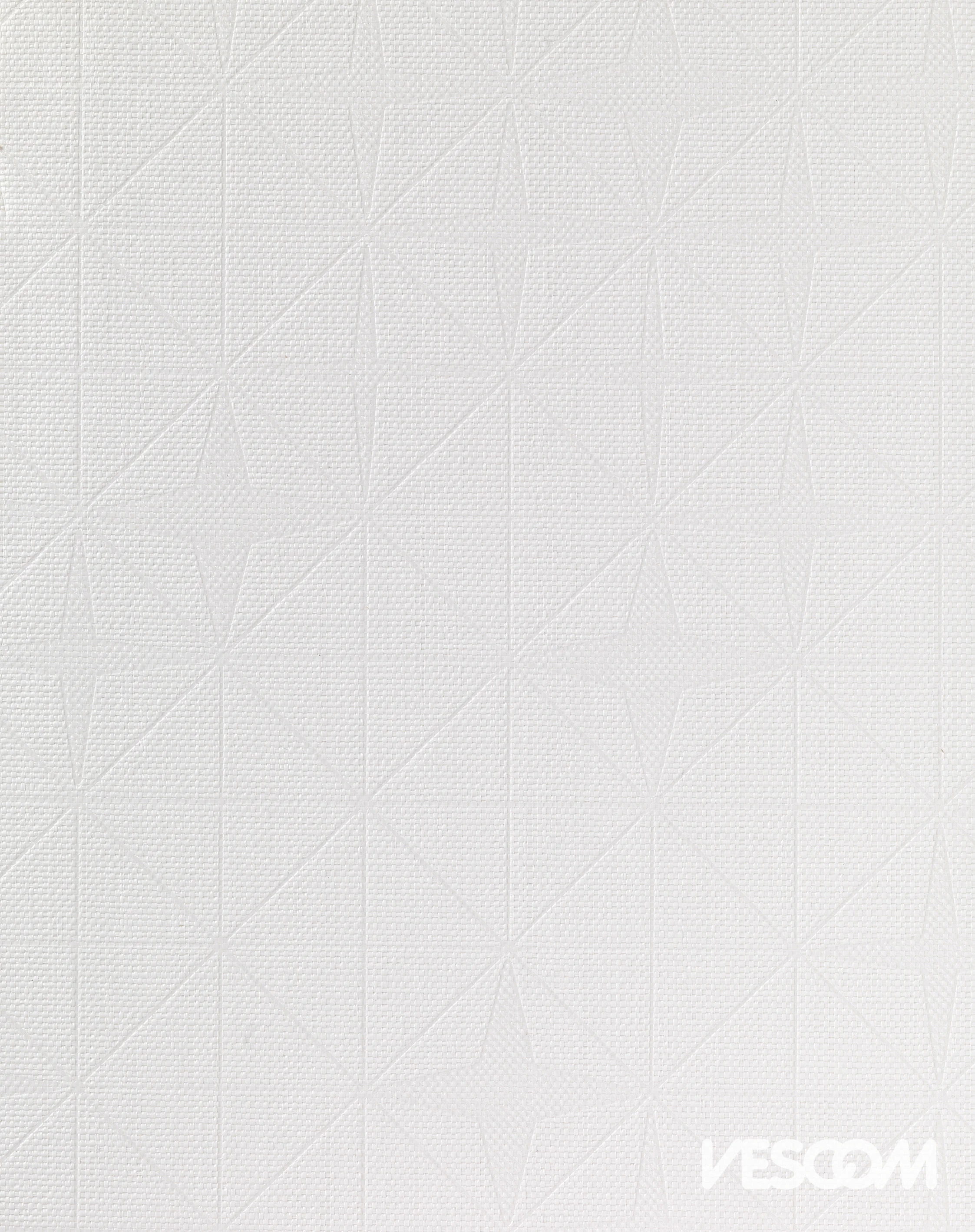 Fragment Emboss: 2541.01