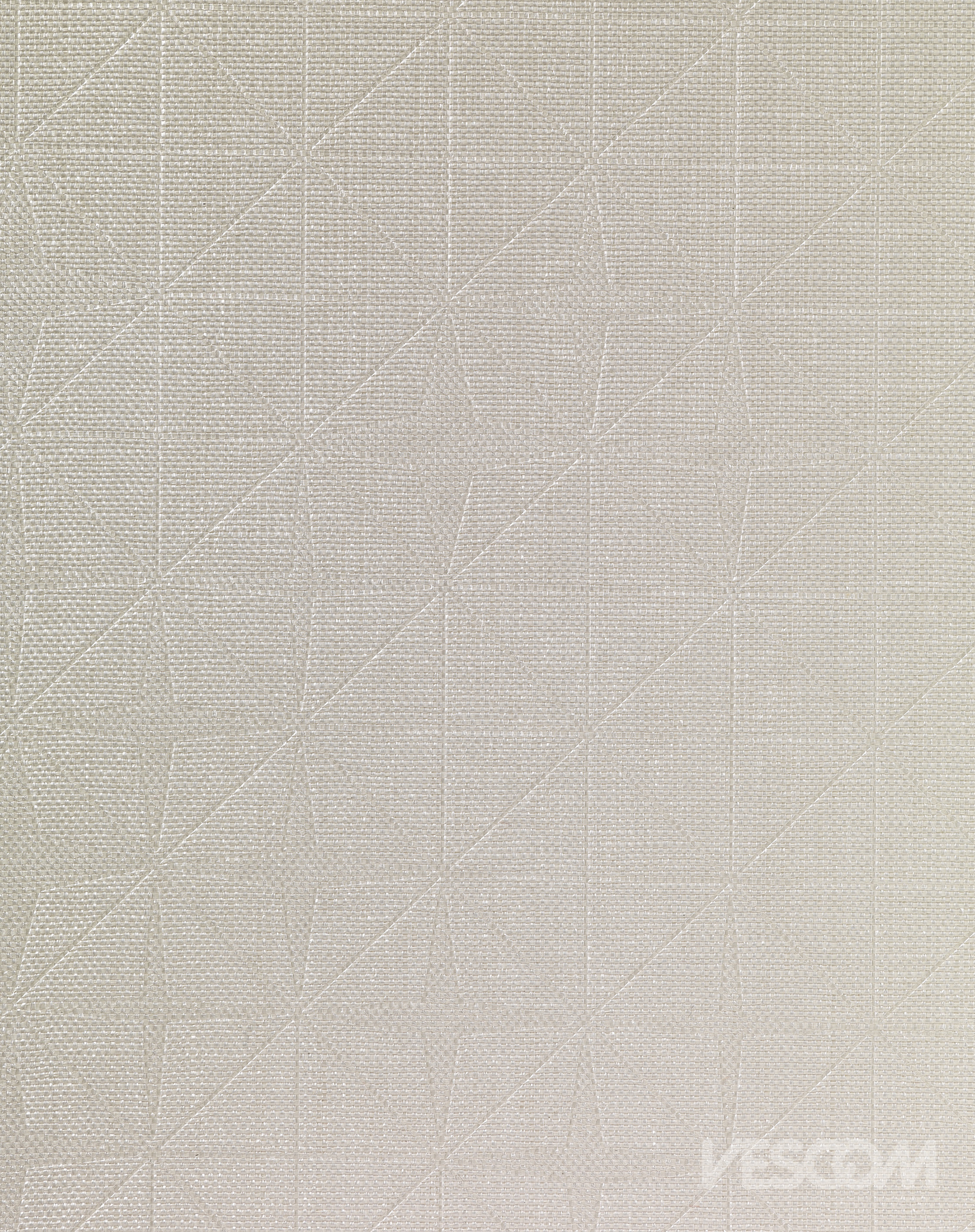 2541.09_highres.jpg