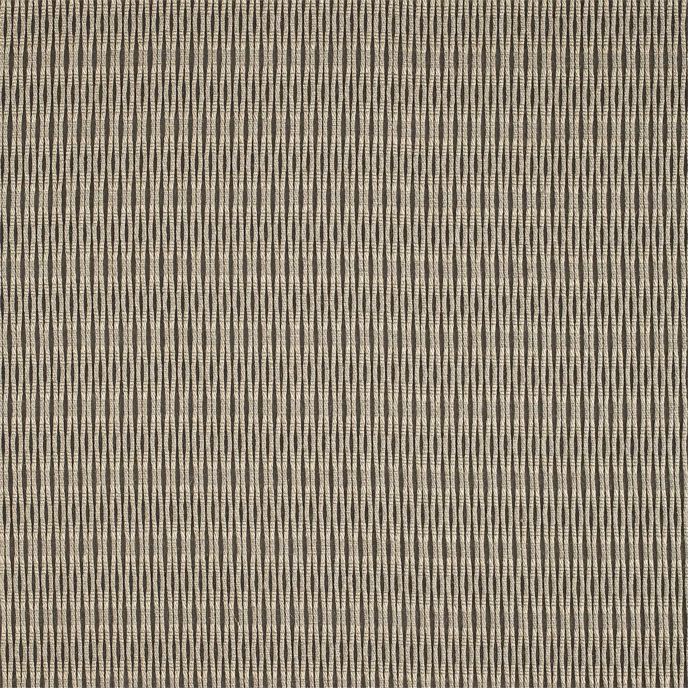 HMOV130554_zoom.jpg