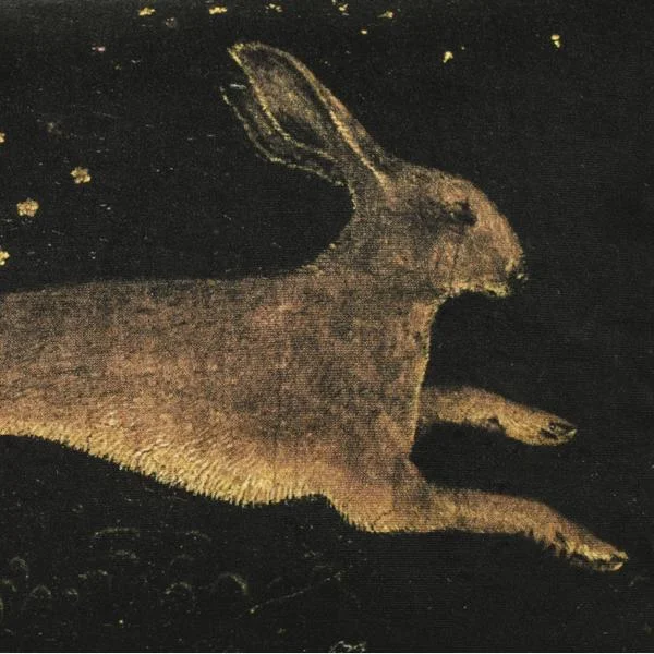 24984-national-gallery-hare.jpg