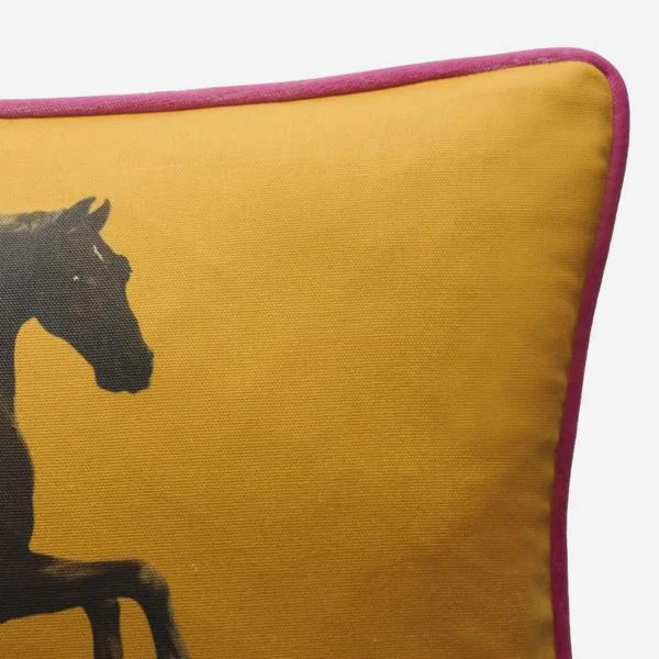24992-national-gallery-cushion-whistlejacket-orange.jpg