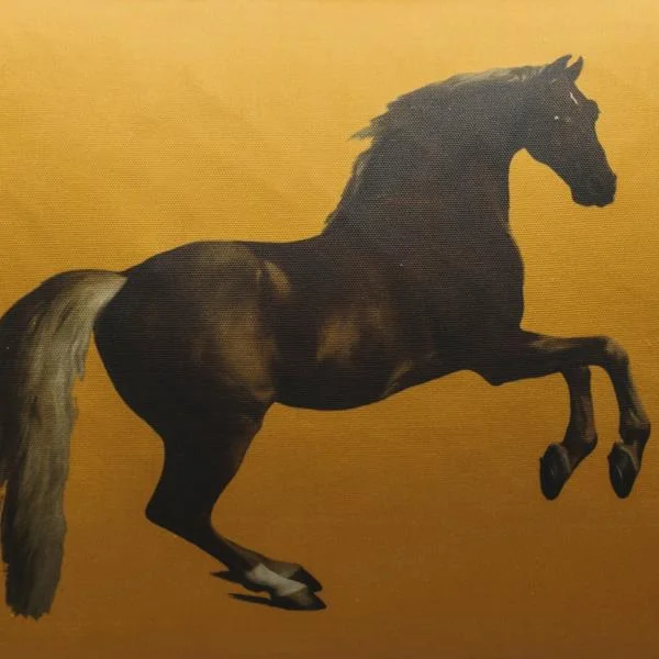 24993-national-gallery-cushion-whistlejacket-orange.jpg