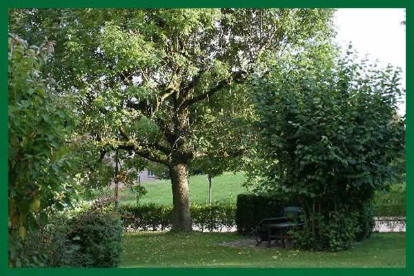 Bild022.jpg