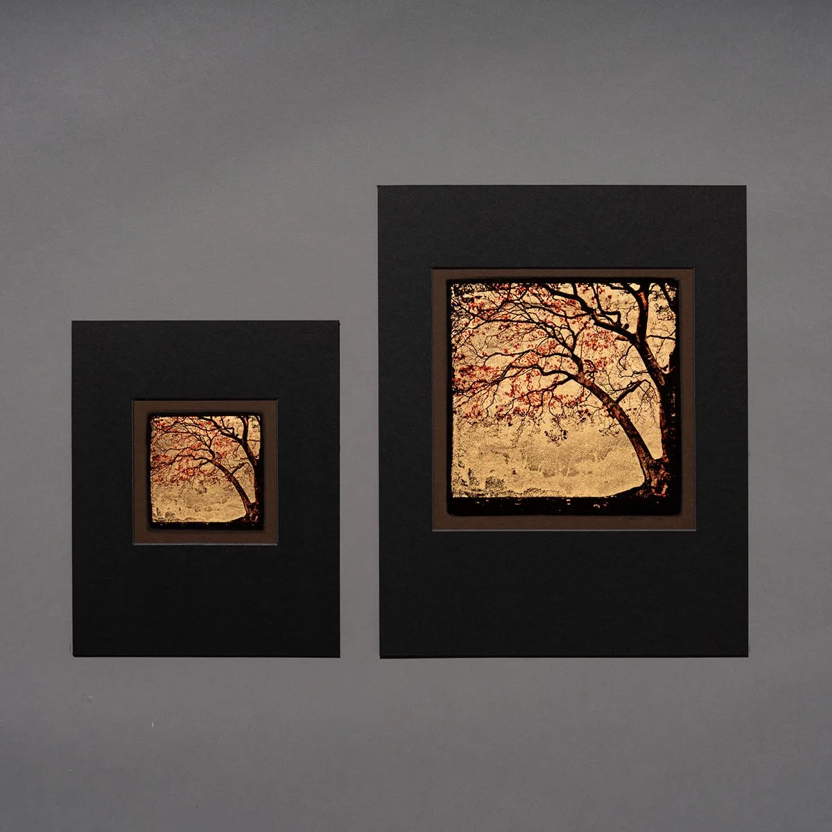 Magnolia prints.jpg