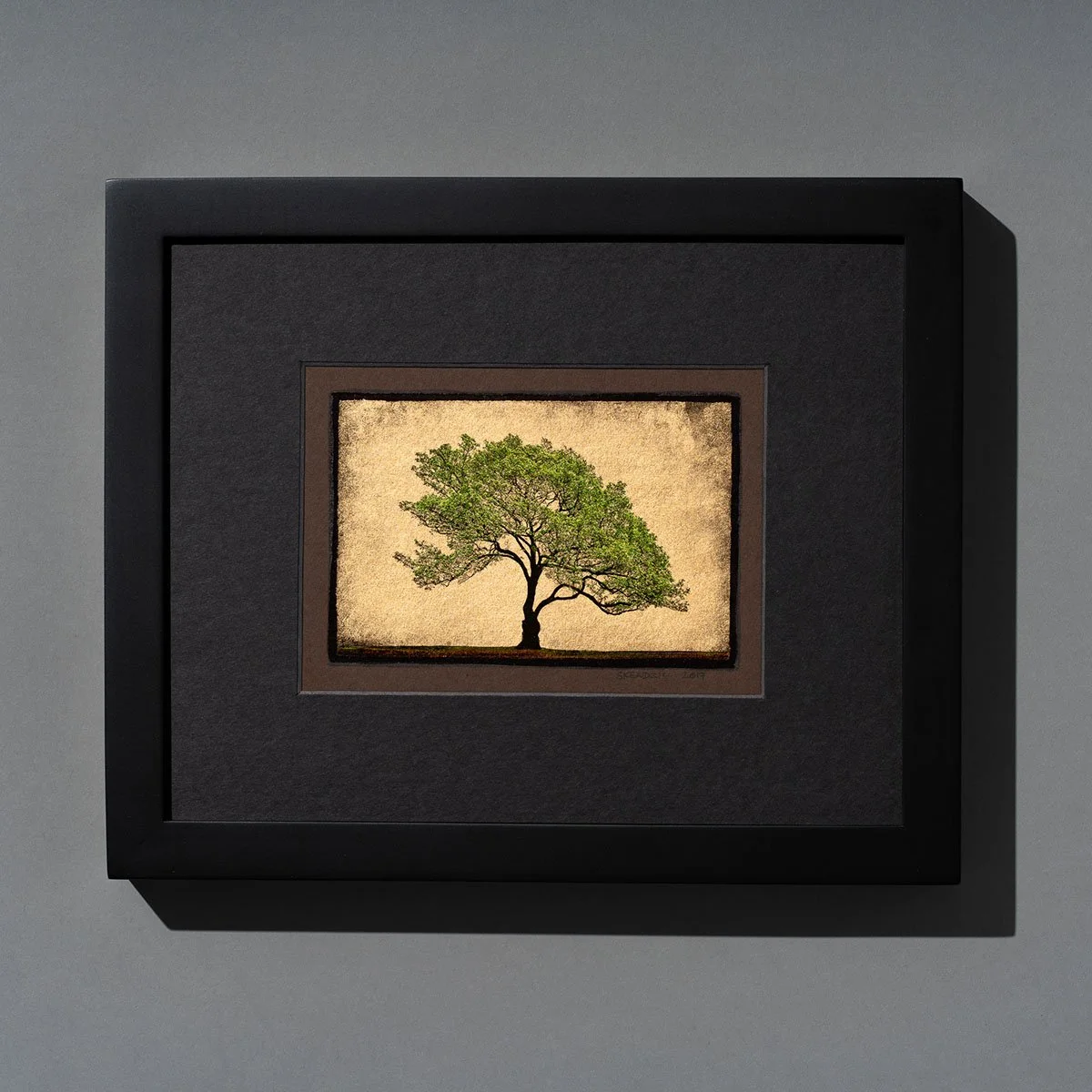 D tree 8x10 framed.jpg