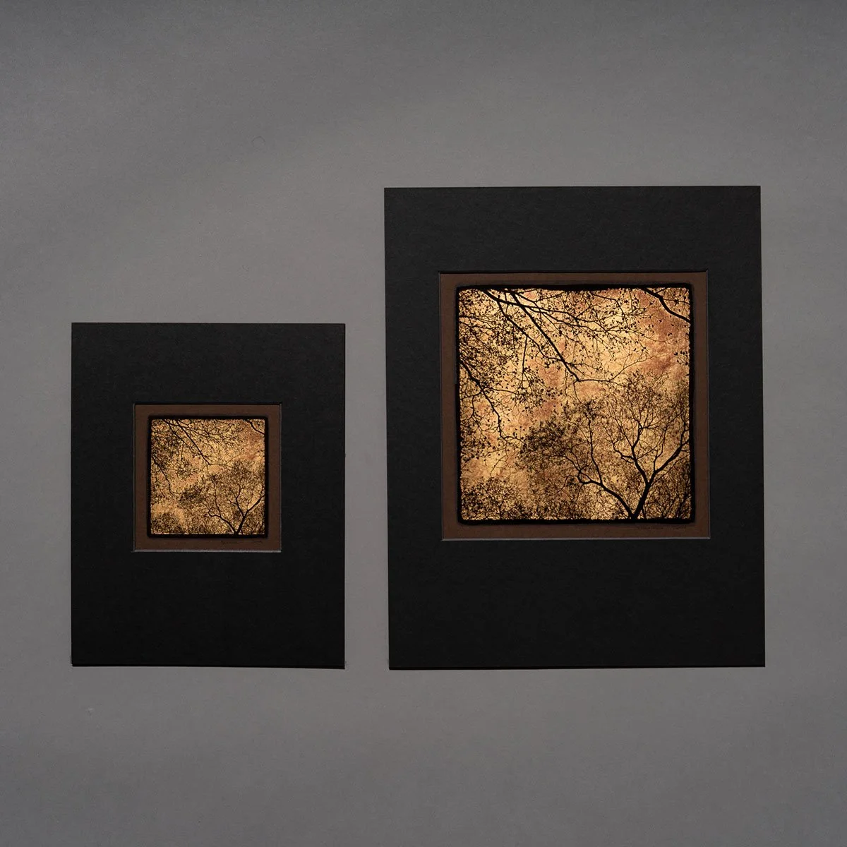 Sycamore trees prints.jpg