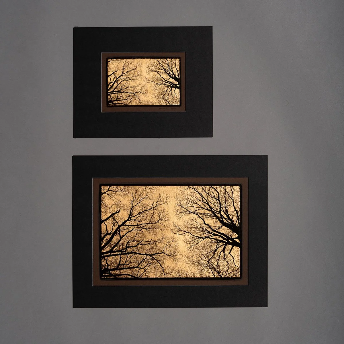 Central park trees prints.jpg