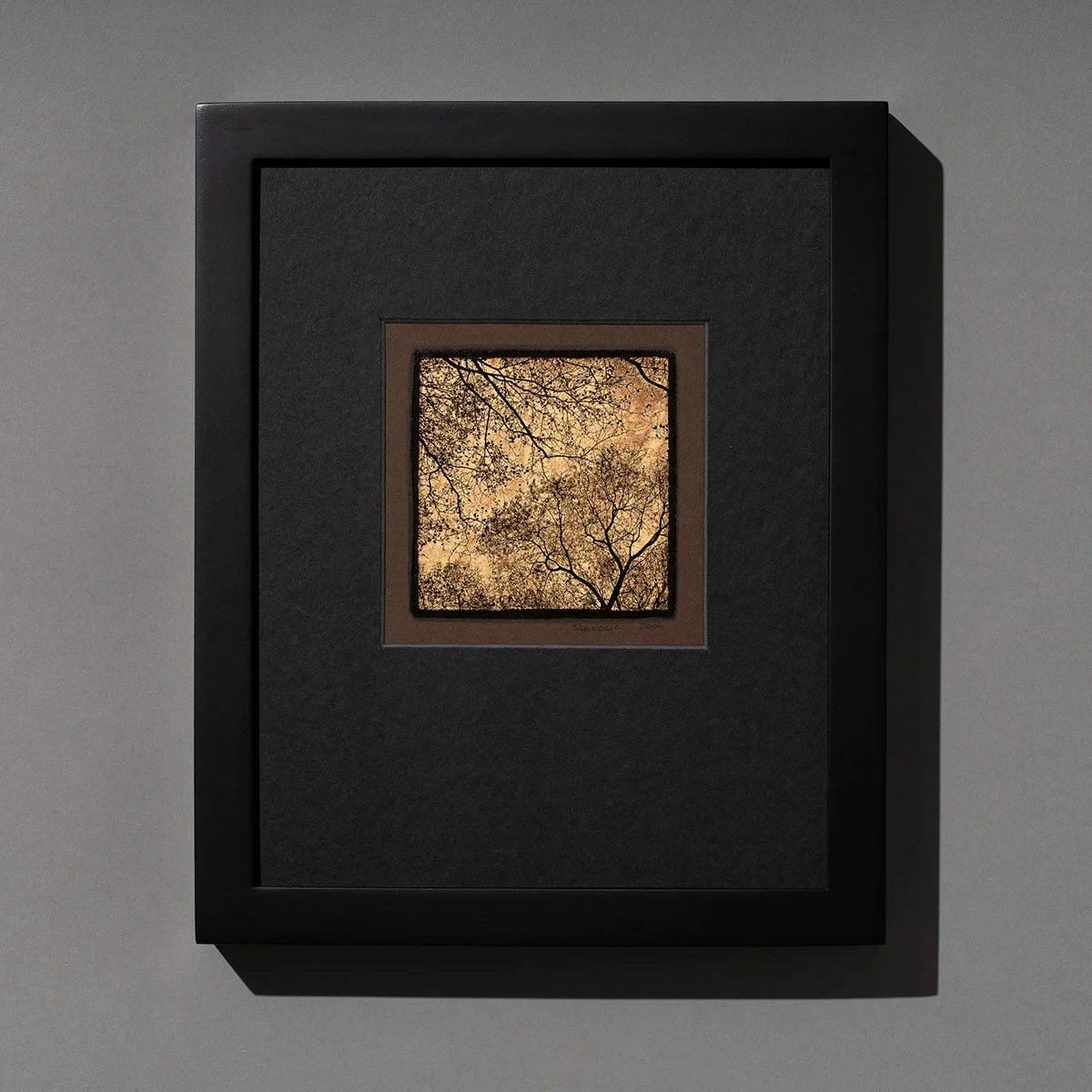 Sycamore 8x10.jpg