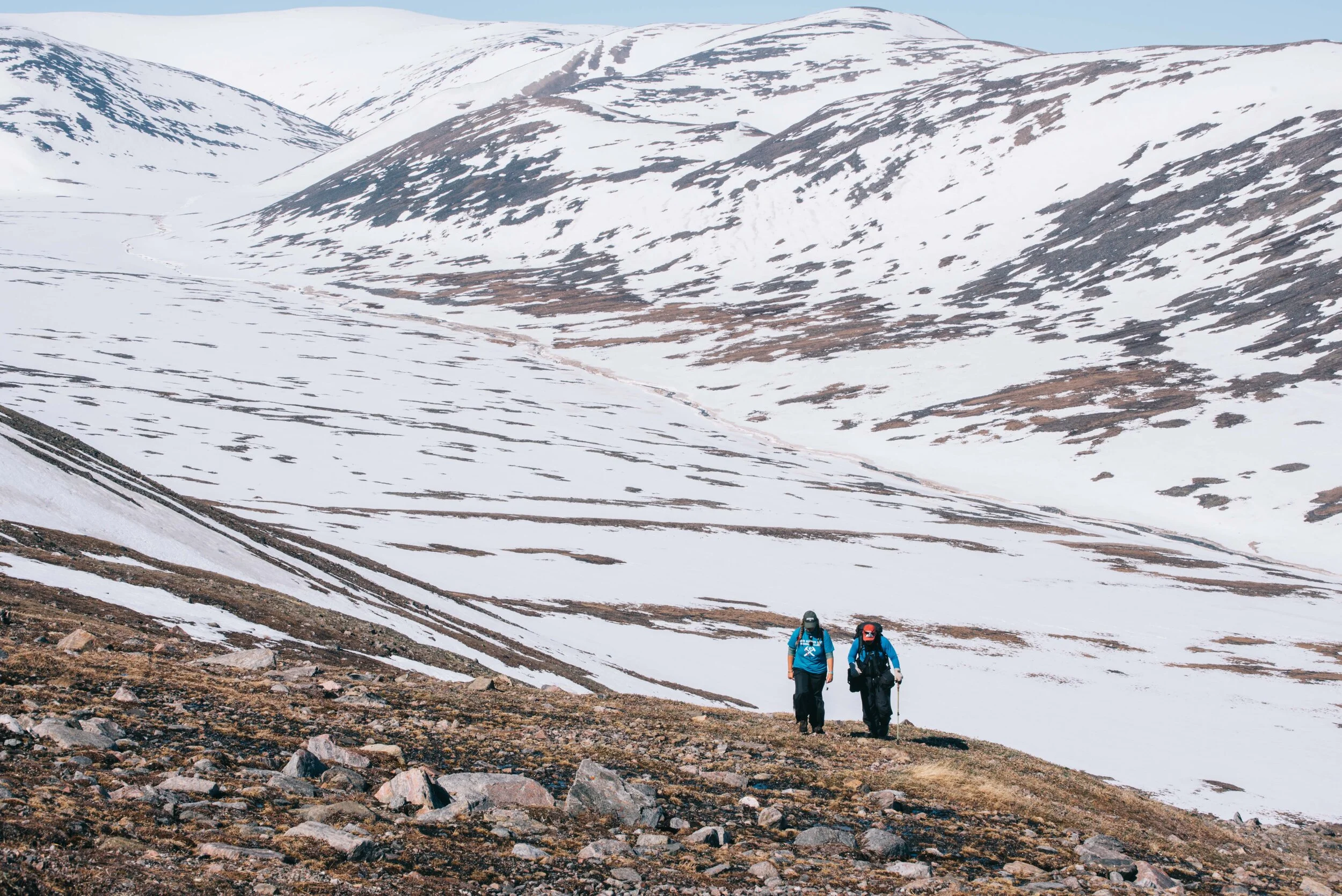 Arctic-8.jpg