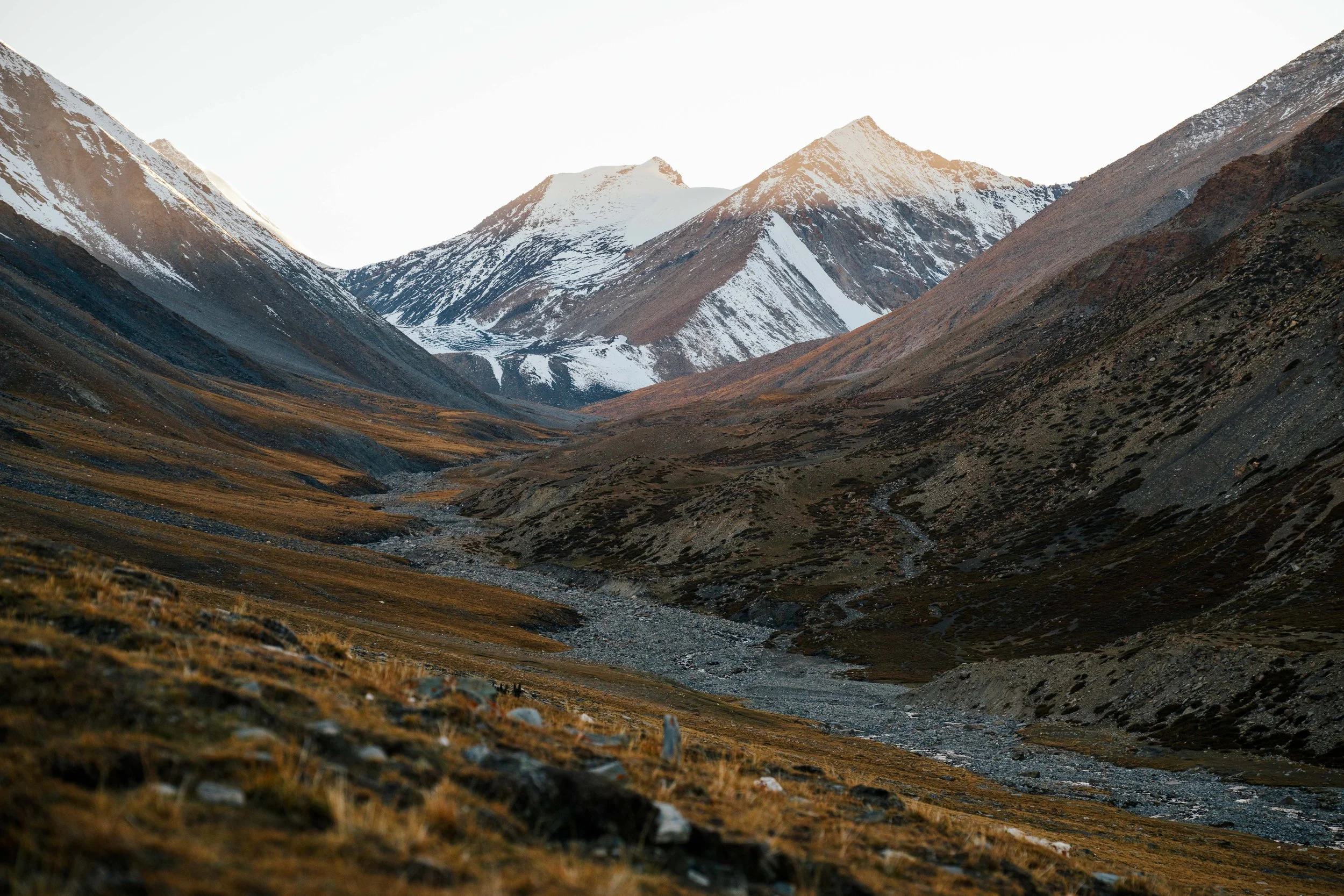 Ladakh_Sah.jpg