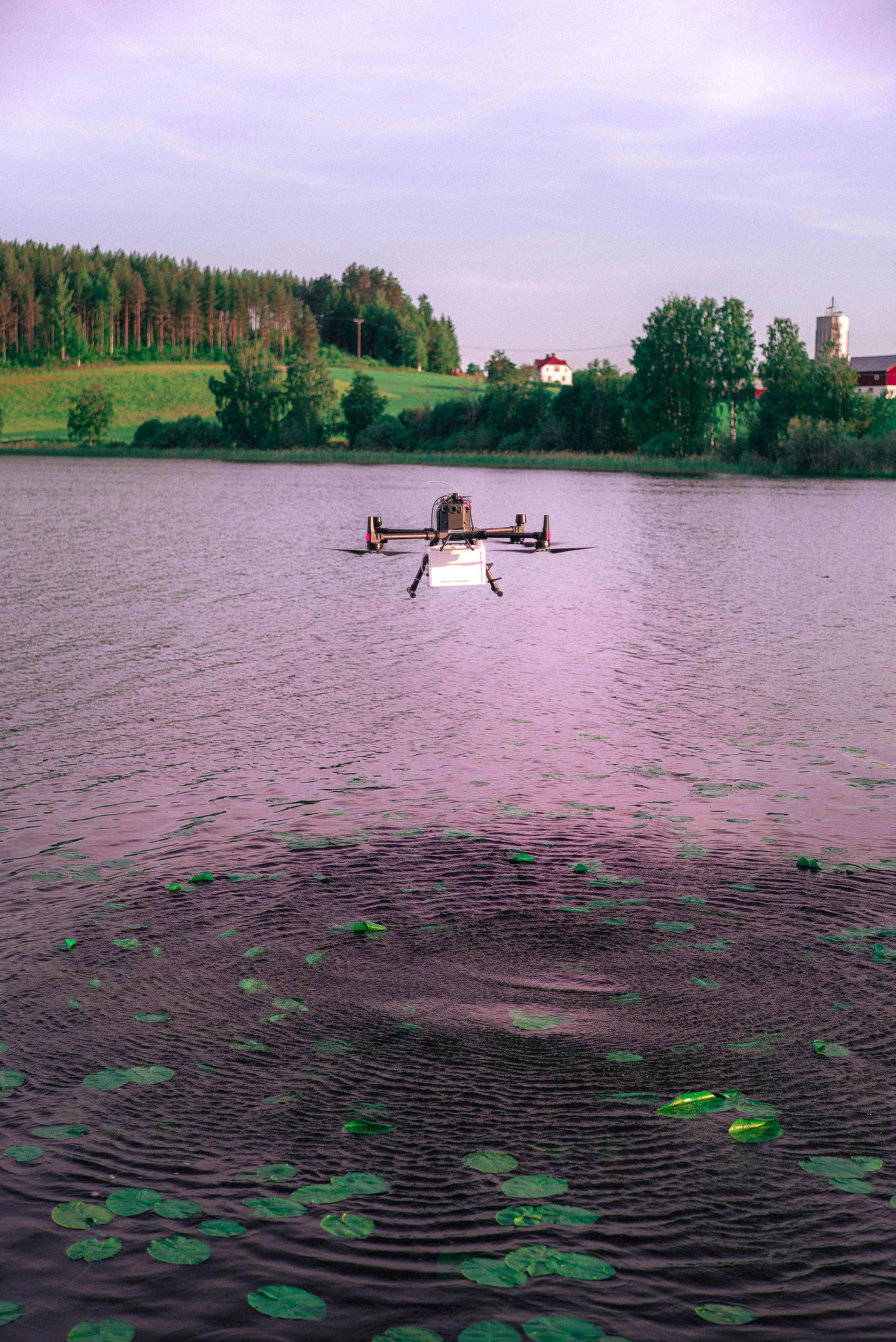 Uppsala-Håga-Mushrooms-13.jpg