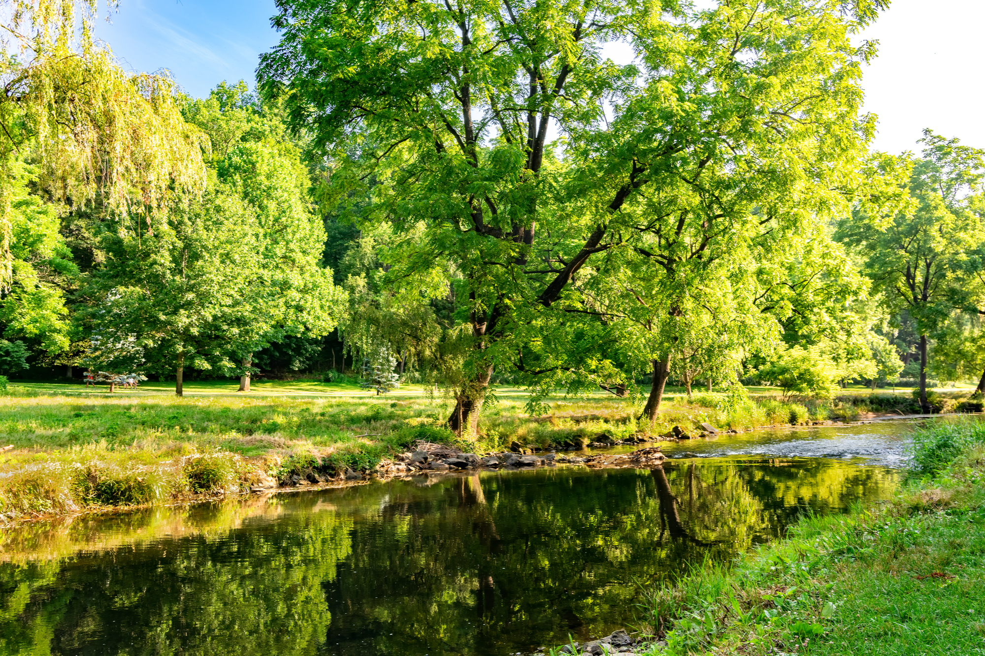 shutterstock_1776549116.png