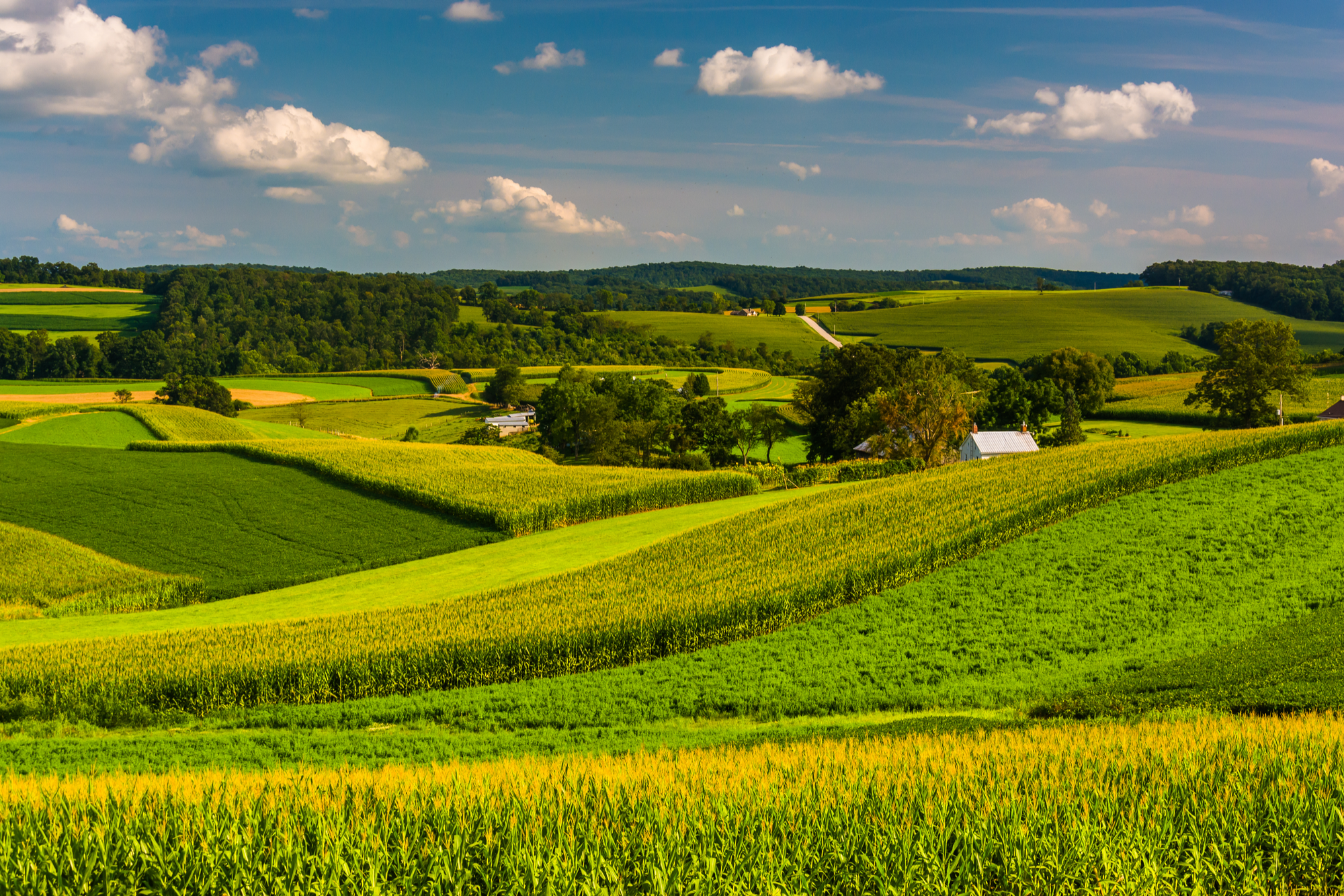 shutterstock_213590380.png