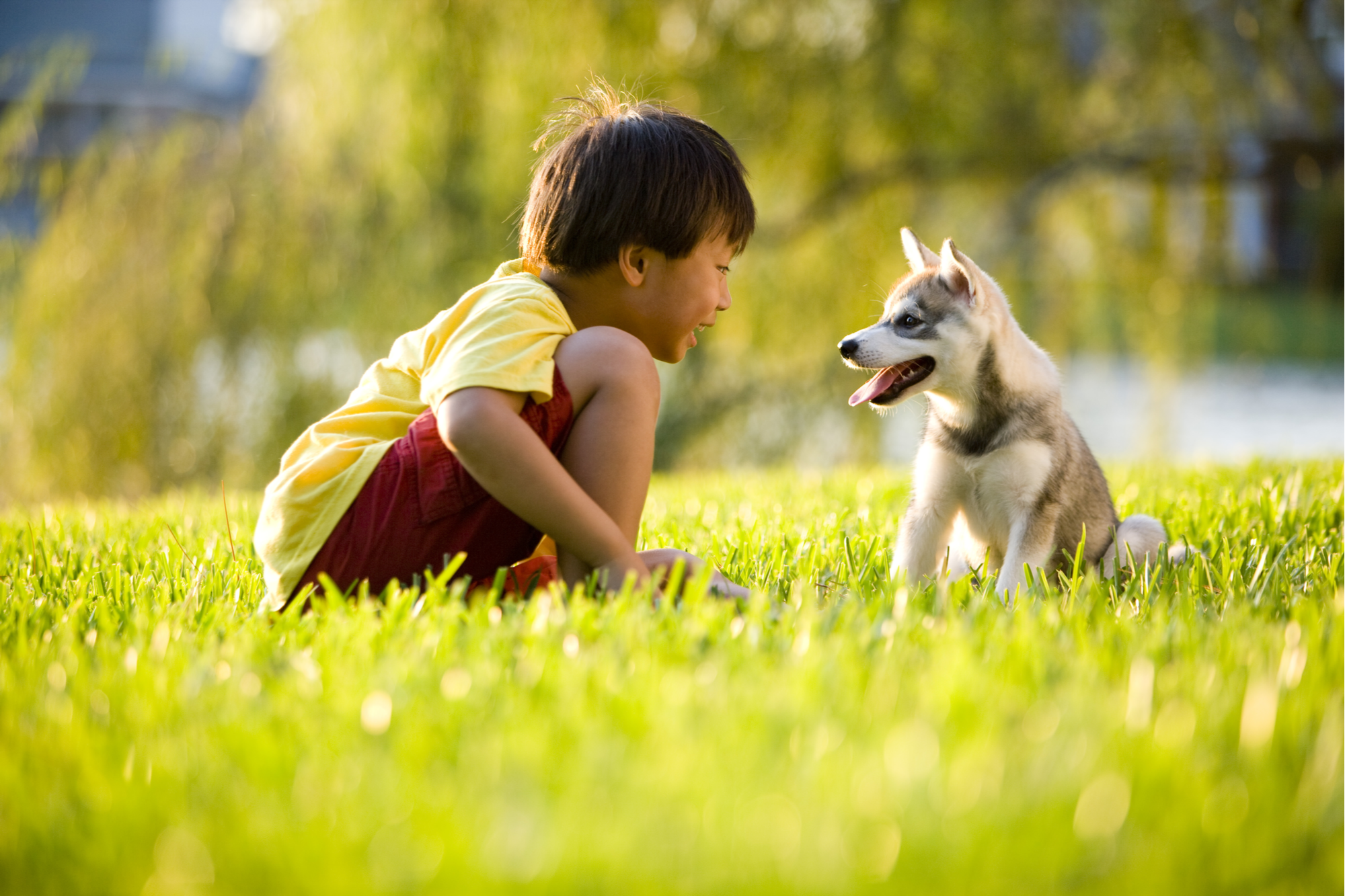 shutterstock_39704332.png