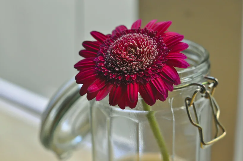 flower.jpg