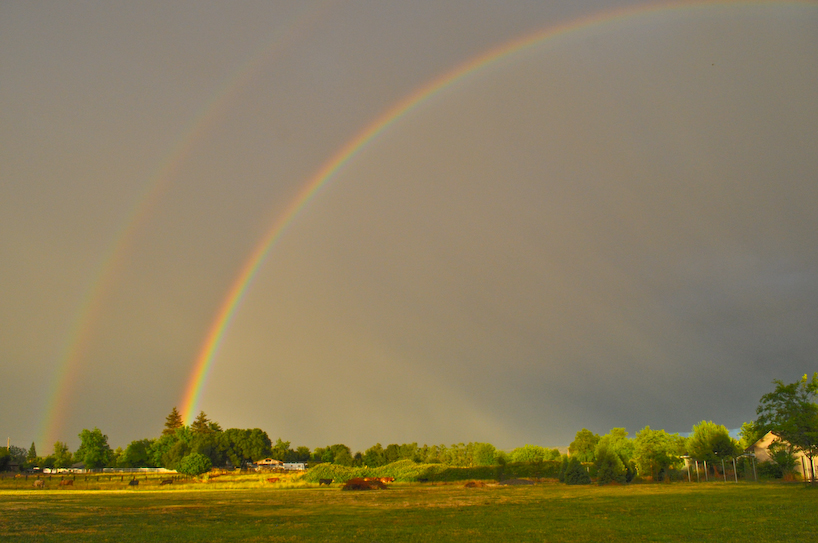 Rainbow1.jpg