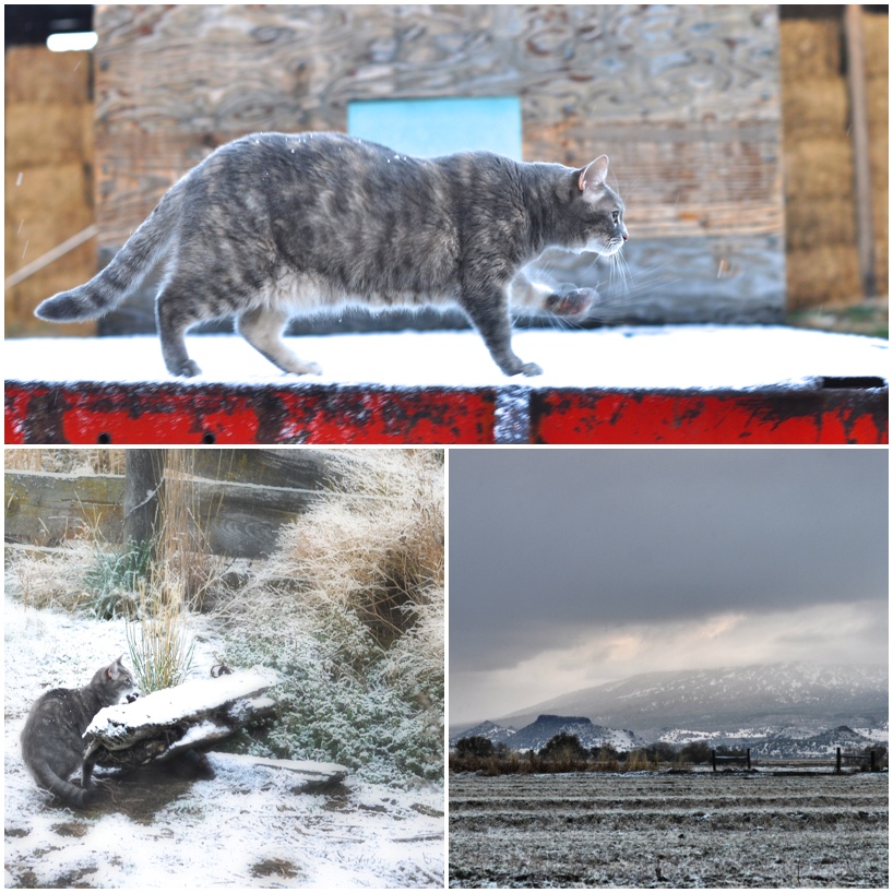 First-Snow.jpg