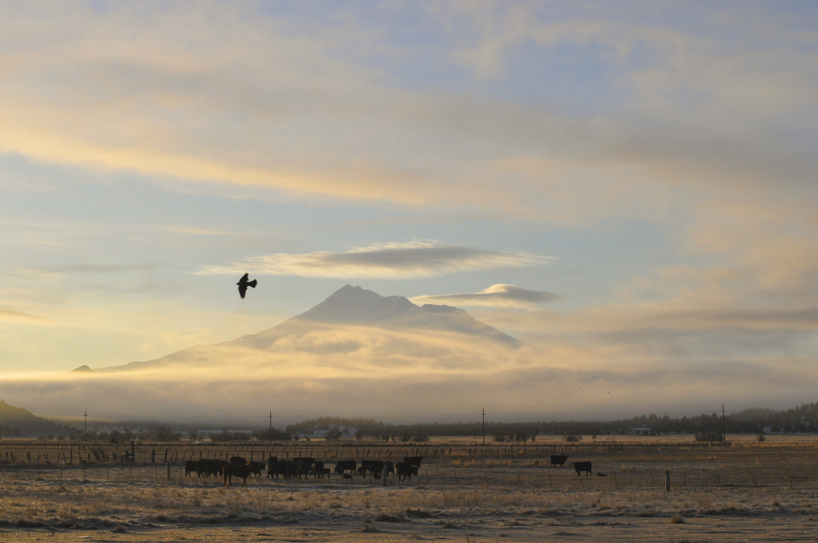 morning-view1.jpg