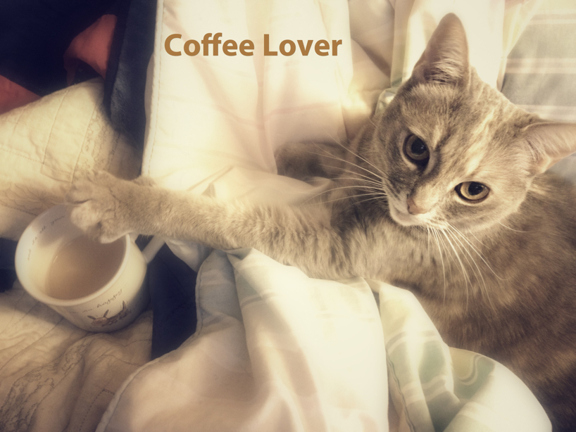 coffee-lover.jpg