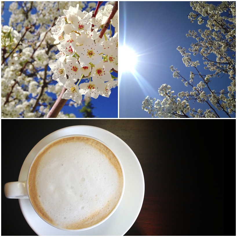 Flowers-and-Coffee.jpg