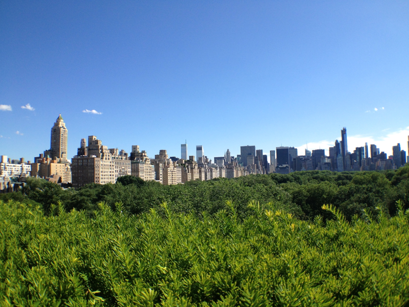 The-Met-rooftop-garden-.jpg