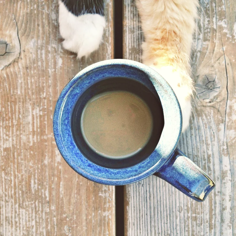 kitty-paws-on-my-cup.jpg
