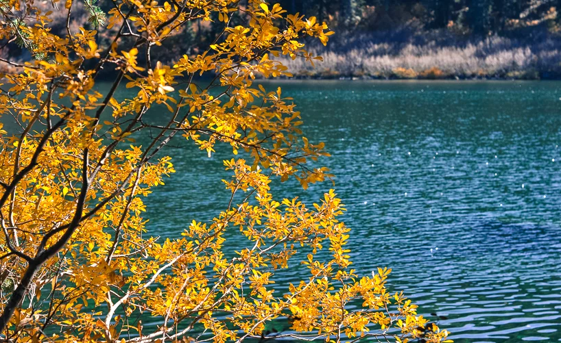 Castle-Lake_taken-with-Nikon1.jpg