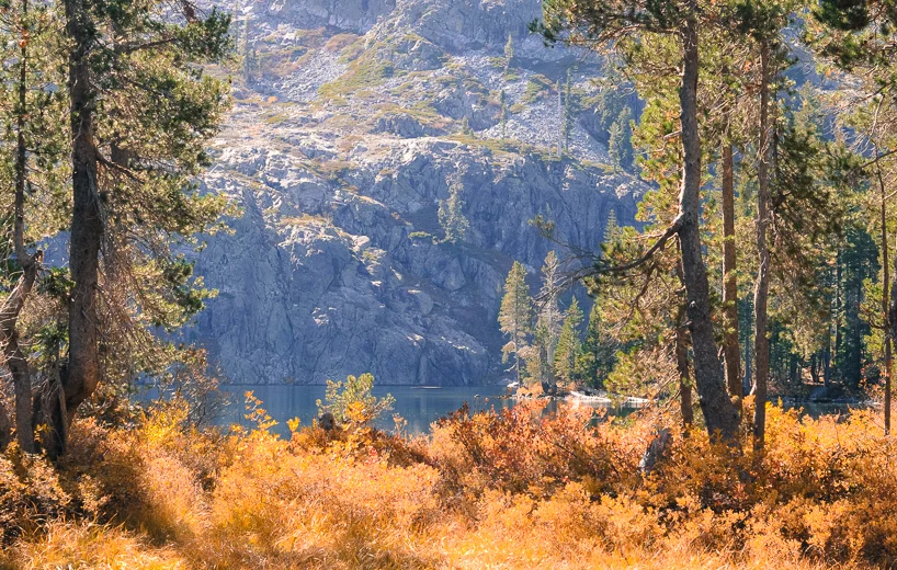 DSC_0020.jpg