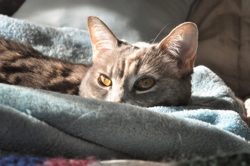 DSC_0016.jpg