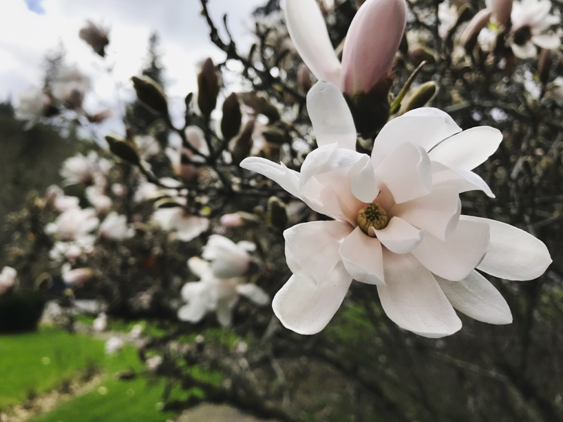 April-Happy-Links.jpg