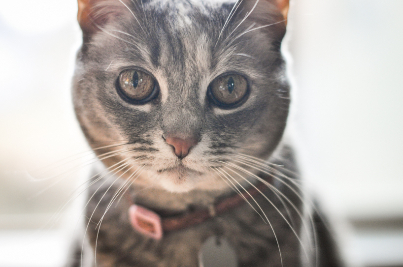 Photo by Tammy Strobel