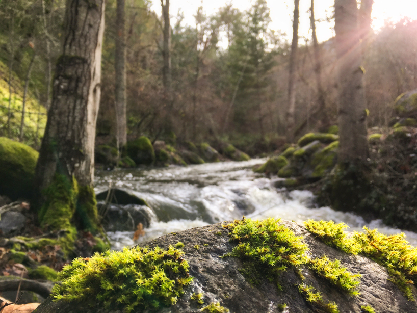 Ashland, OR