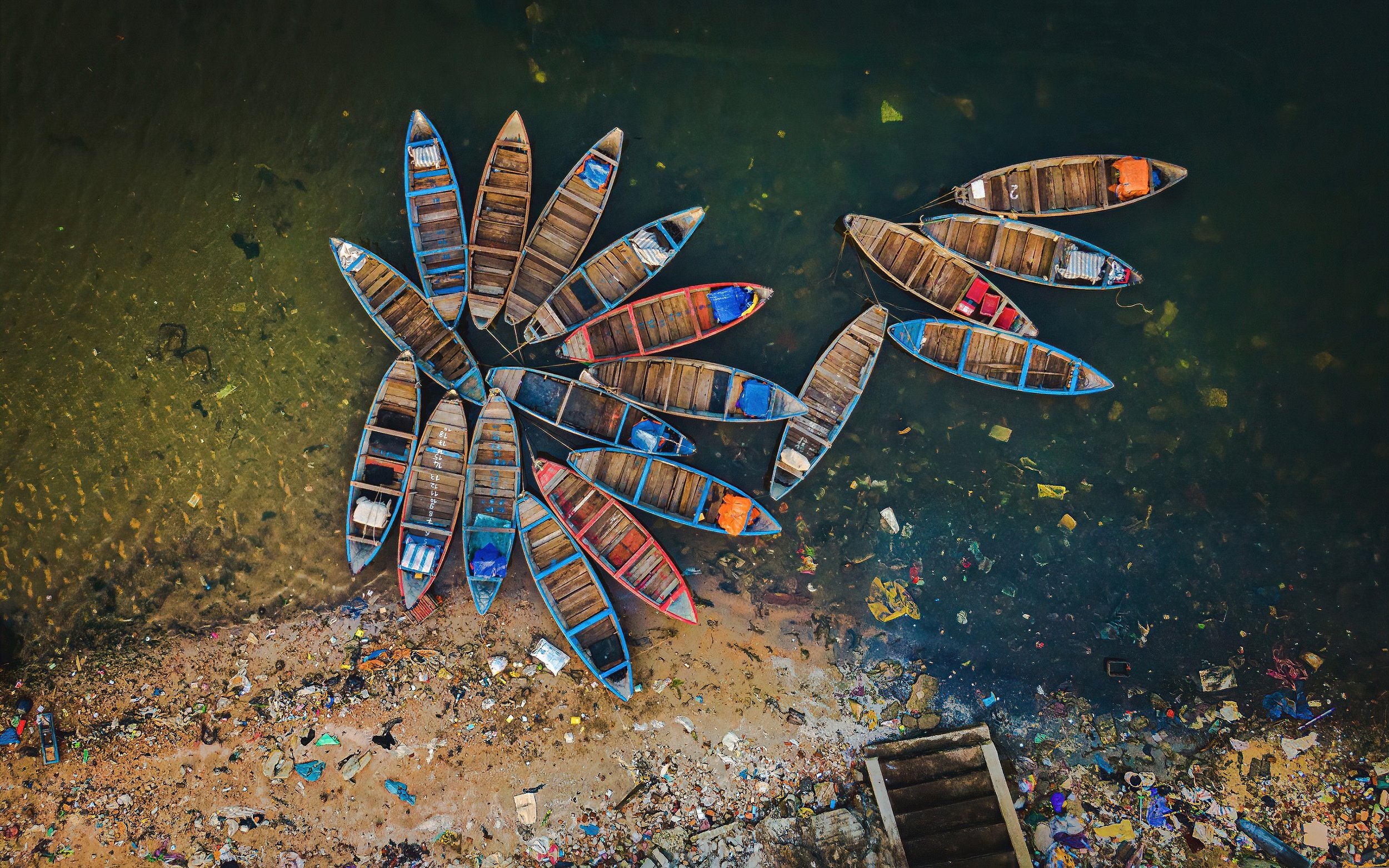 Alex Cao: Boat Flower in Pollution