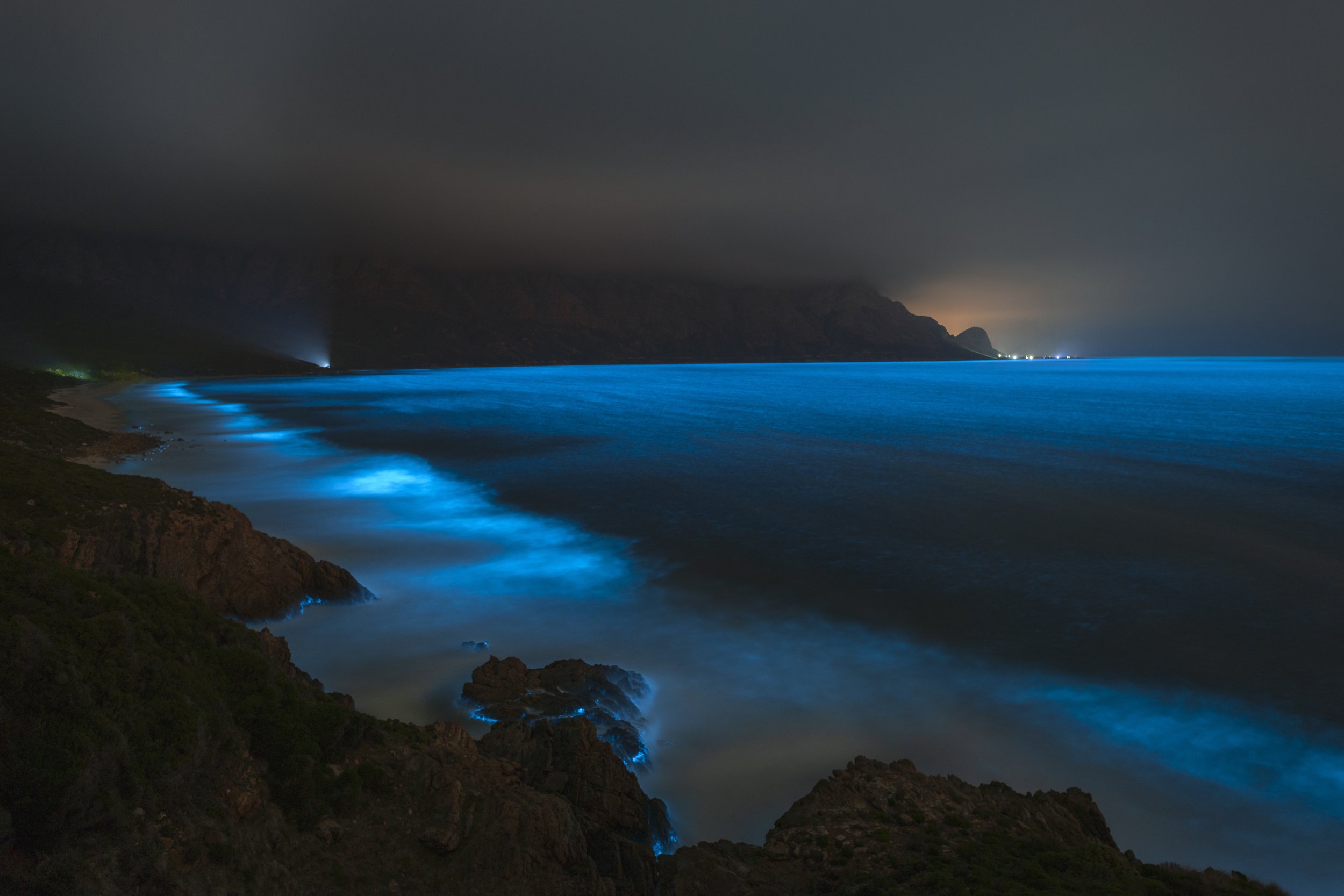 Kogel Bay Bioluminescence.jpg
