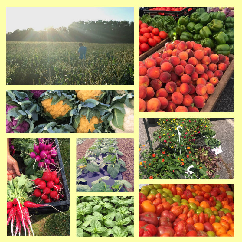 Liliana's Produce