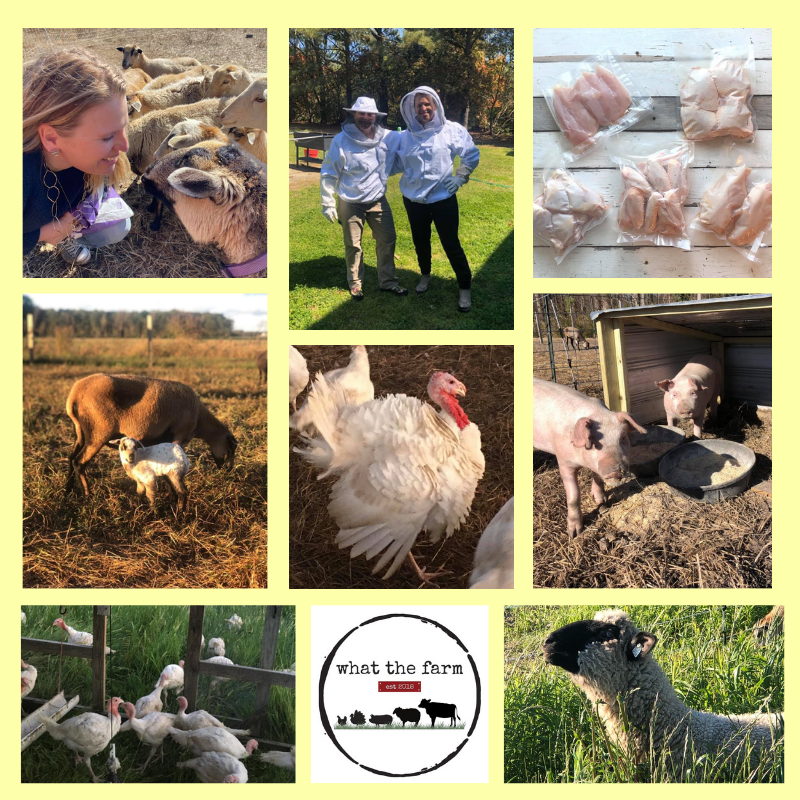 What The Farm
