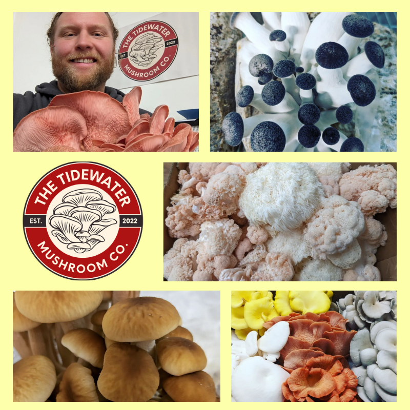 Tidewater Mushroom Co. 