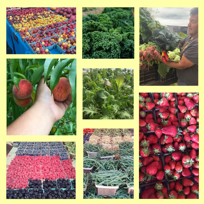 Norma's Produce at Penn Farm