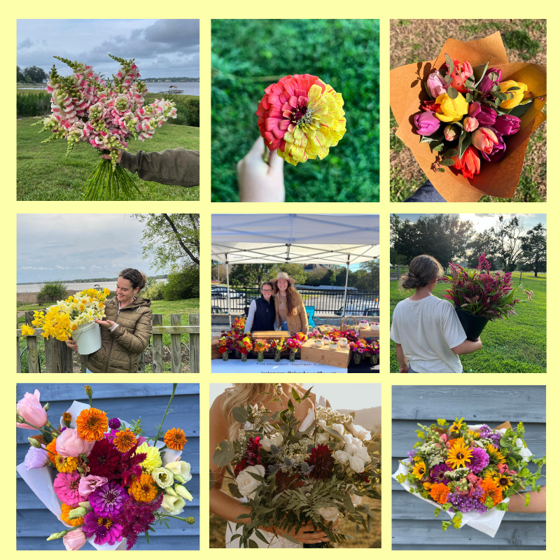 Riverbound Farms