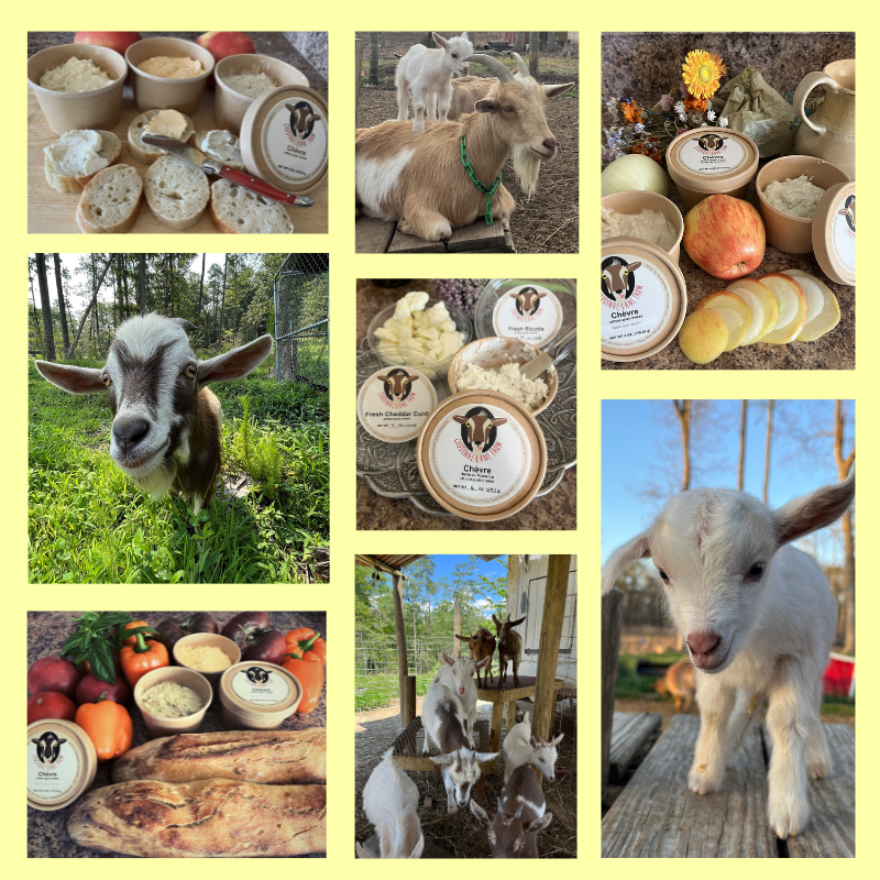 Cardinal Lane Farm