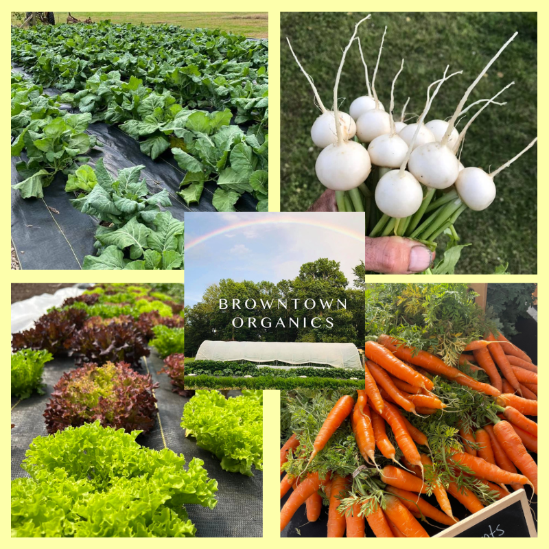BrownTown Organics