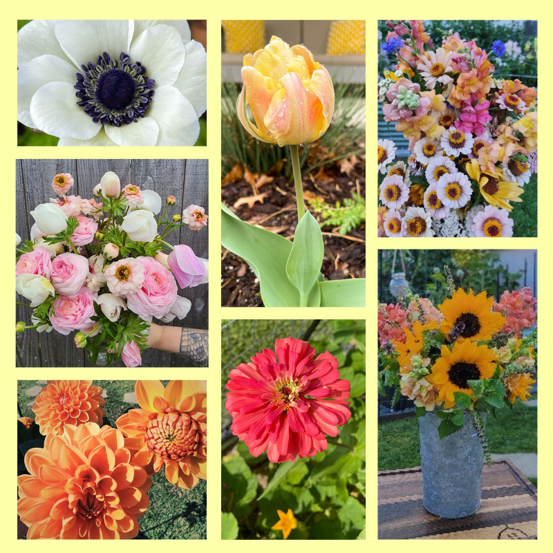 Motherhood In Blooms