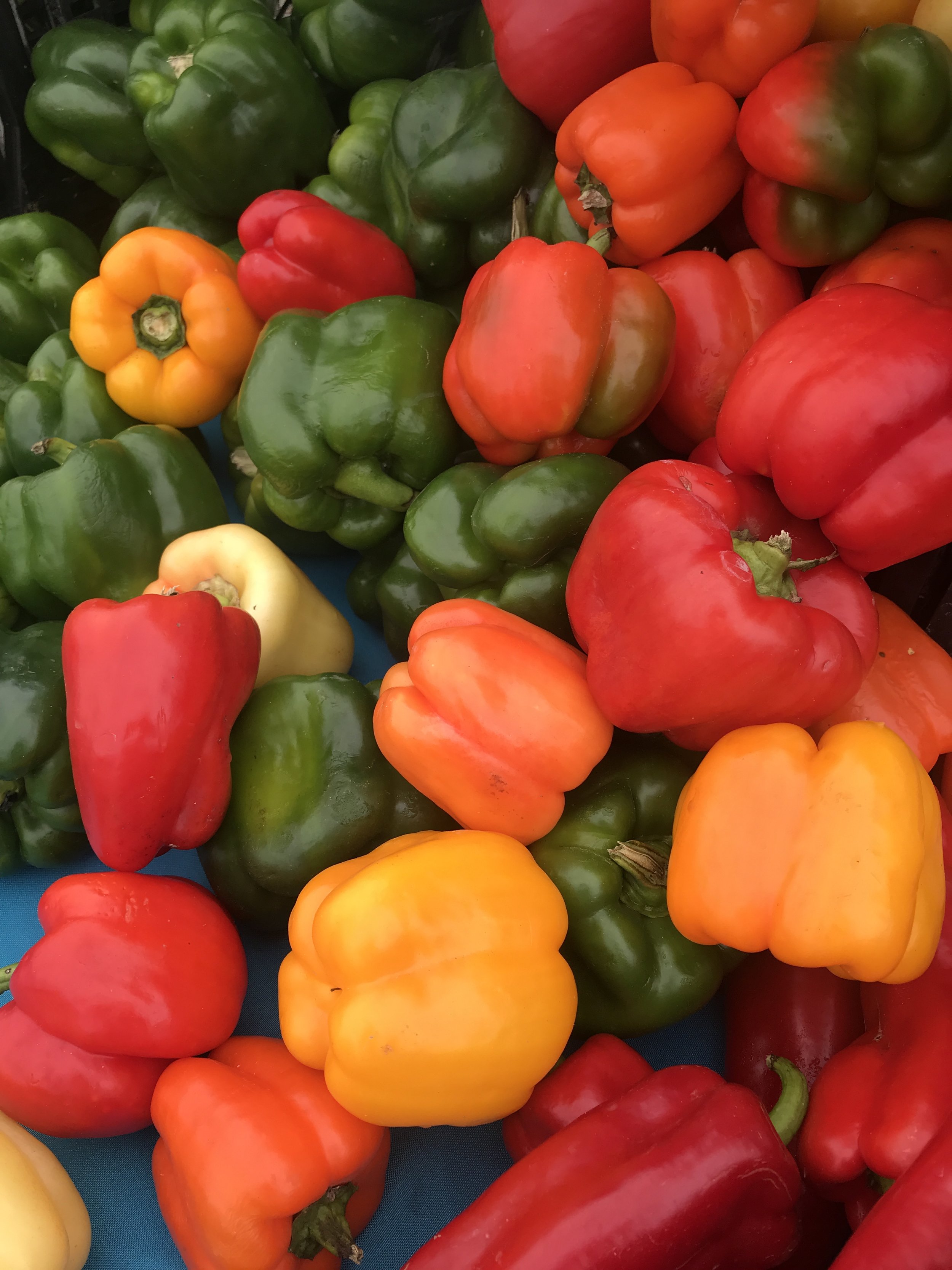 NormasBellPeppers.JPG