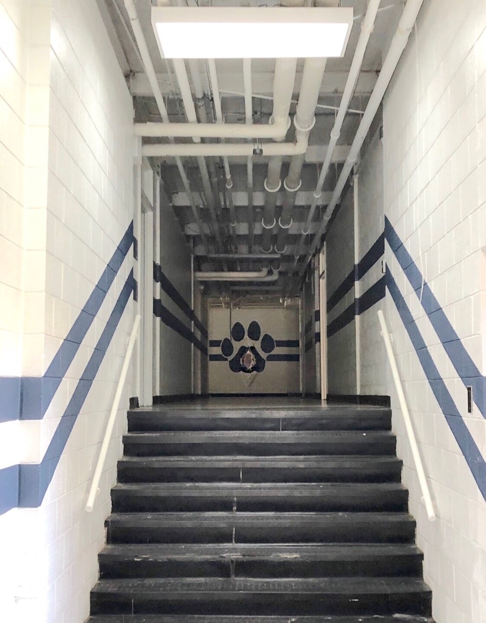 HawkinsMiddle3.jpg