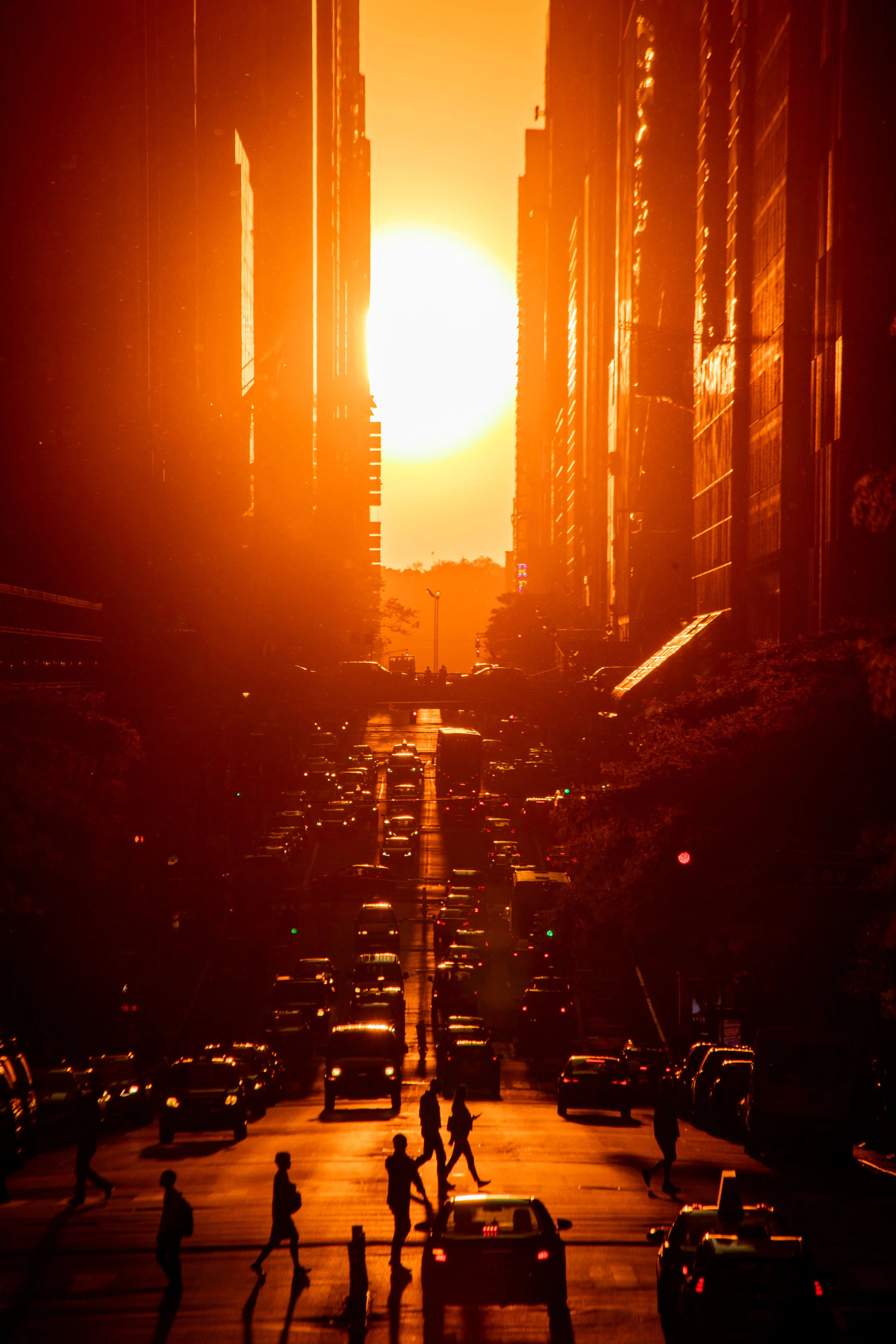 _O0A8510.jpg
