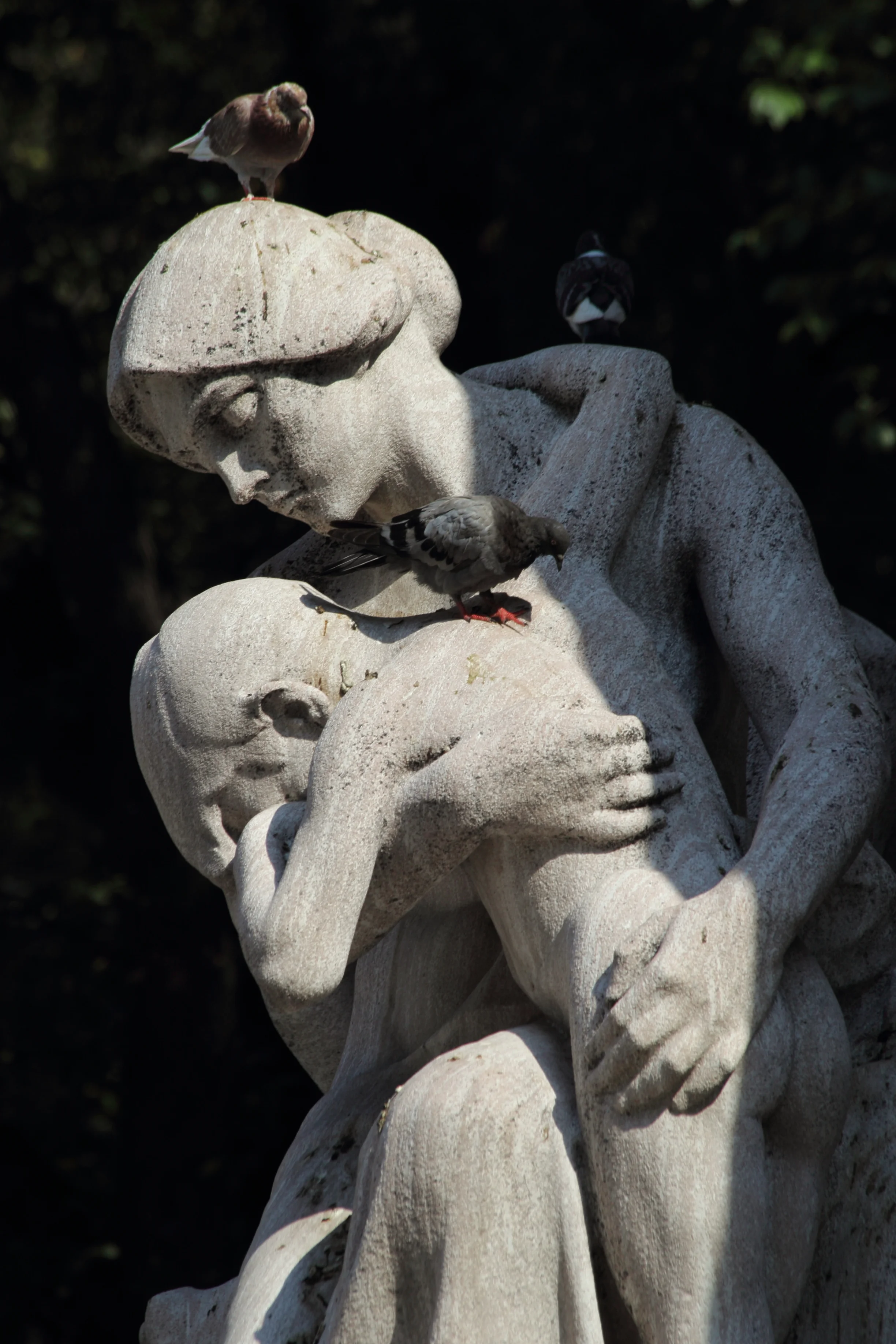 AM2E0733.JPG