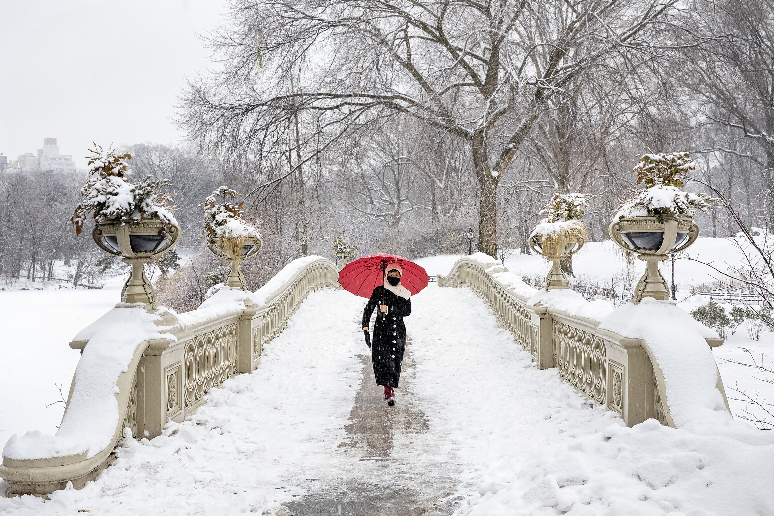 Central Park Snow Day