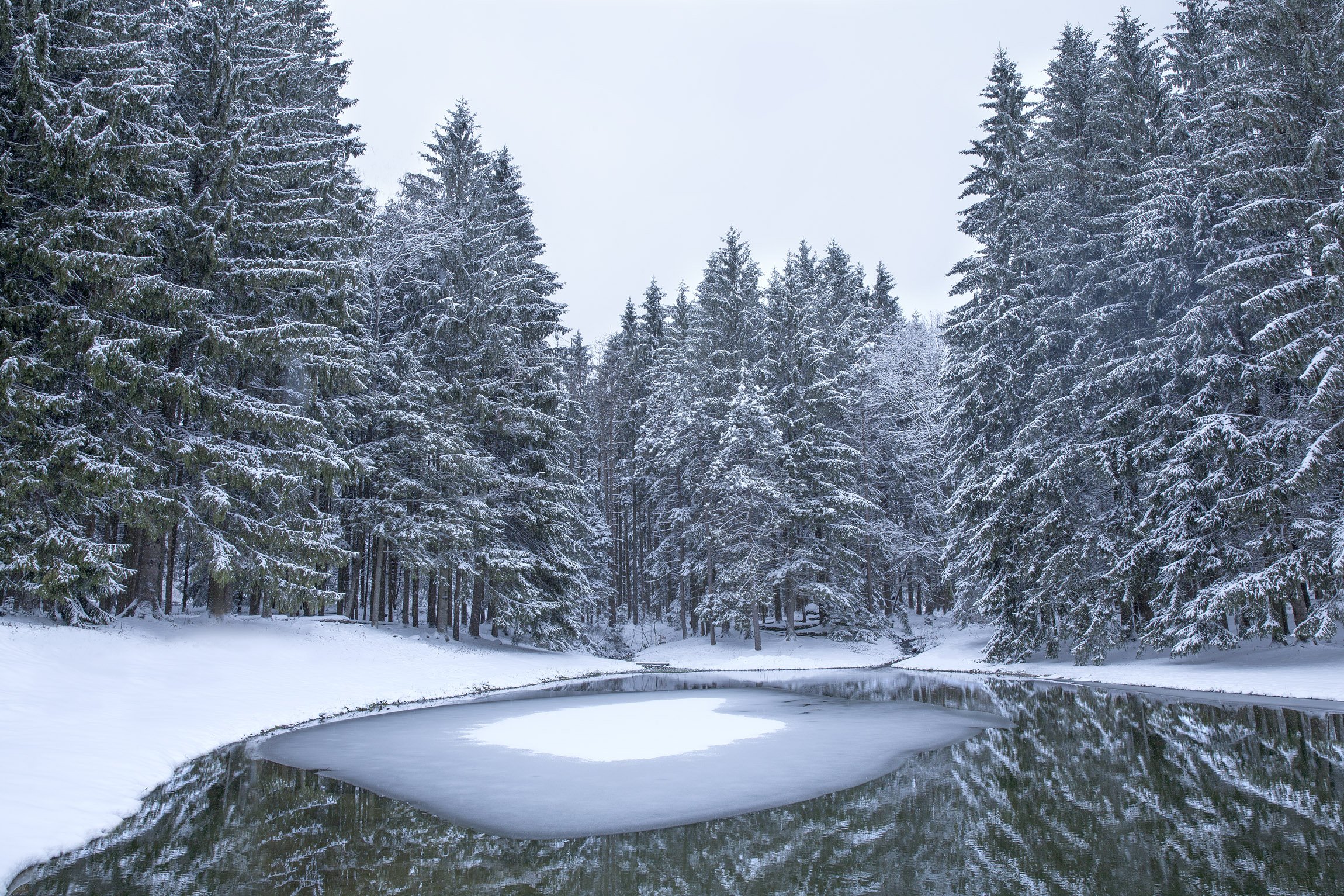 winter_pond.jpg